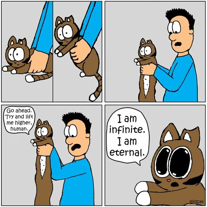 Artist Sums Up Life With A Cat In 30 Comics