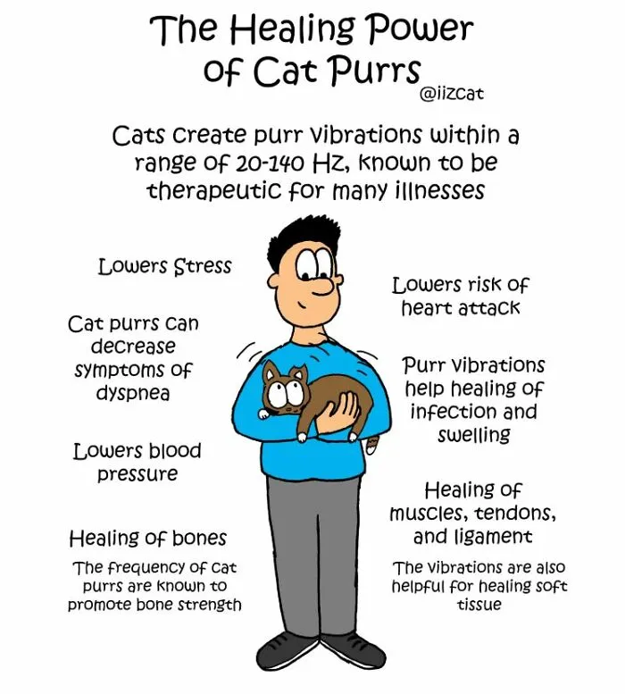 Artist Sums Up Life With A Cat In 30 Comics