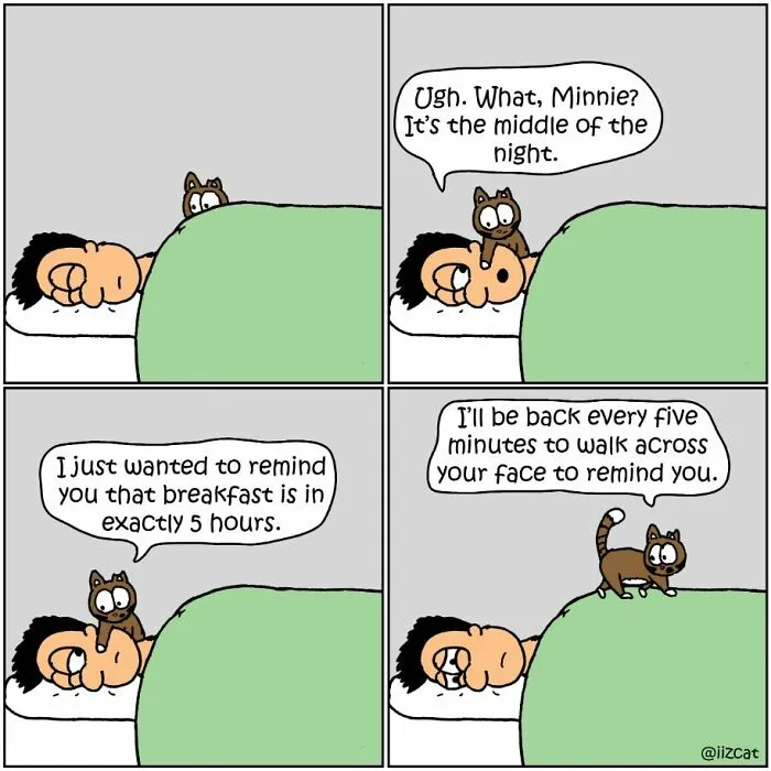 Artist Sums Up Life With A Cat In 30 Comics