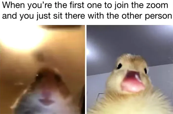 Too Awkward......