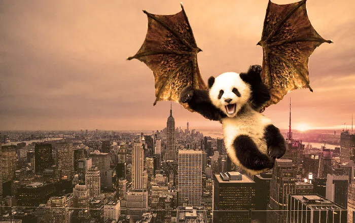 The Pandragon