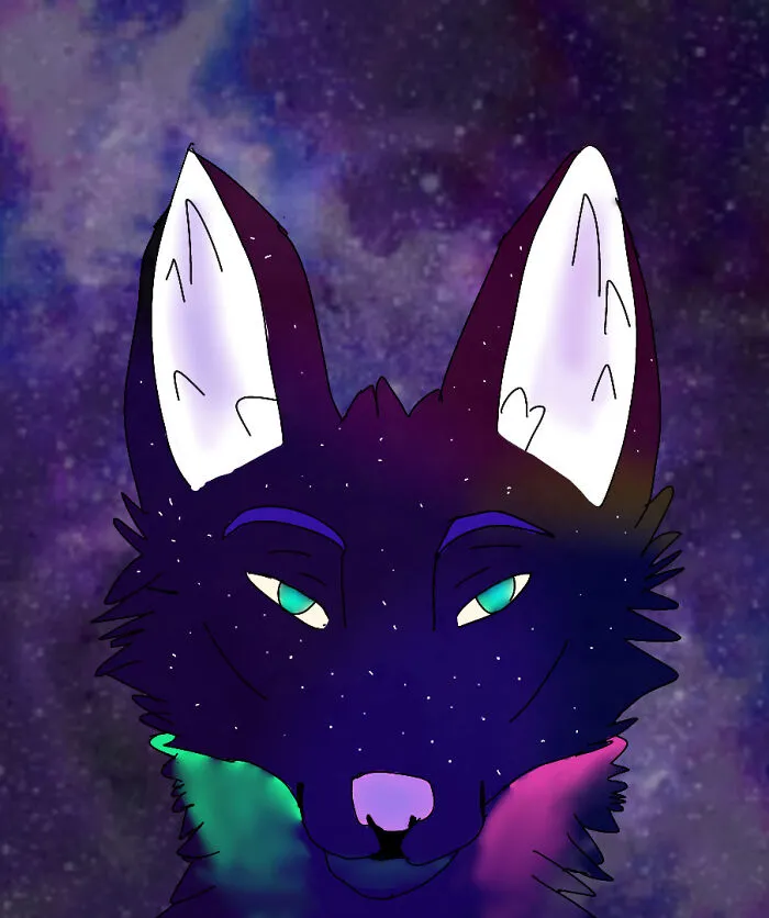 I'm Bad At Fox Drawings