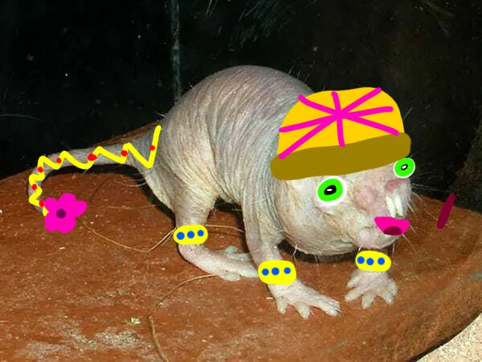 I Think I Failed With The Eyes