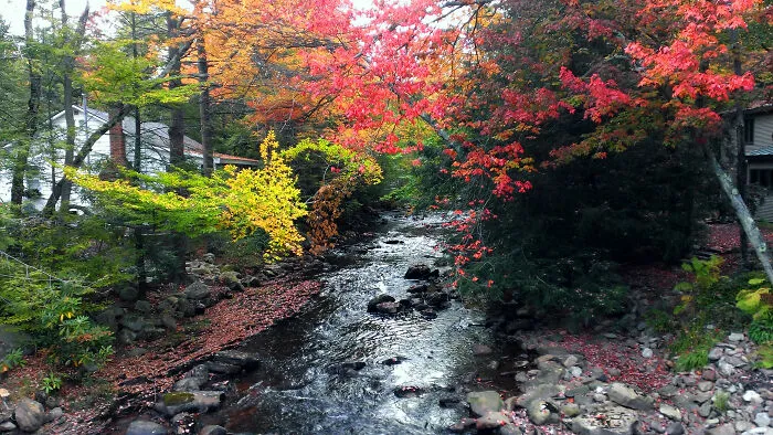 Mud Run Creek In Autumn, Pocono Mountains Of North East Pa