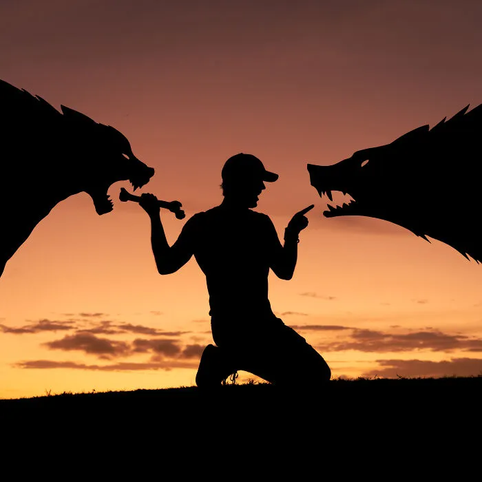 Silhouette of person with cardboard cutouts of wolves at sunset, creating a dramatic selfie date scene.