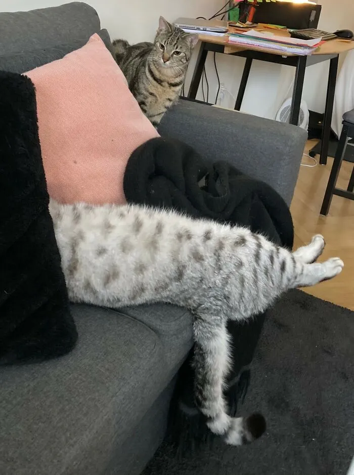 Hide And Seek..