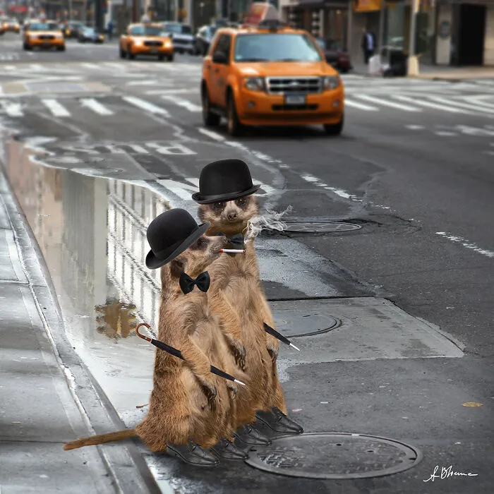 Aliens In New York