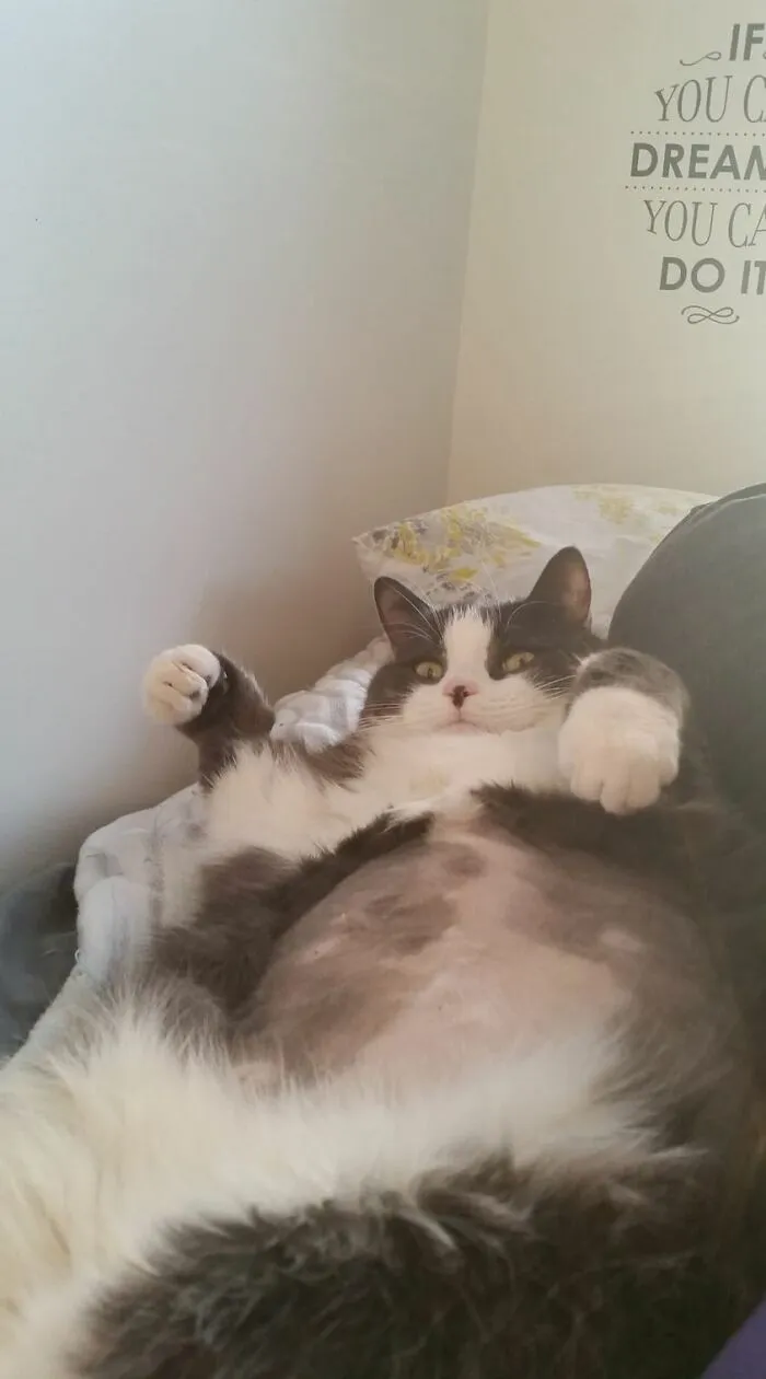 Shaved Belly