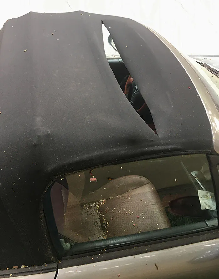 Descubrí que alguien cortó la capota de mi coche sin cerrar, y luego llovió dentro. Me despidieron de mi trabajo una hora más tarde para acabarlo de rematar