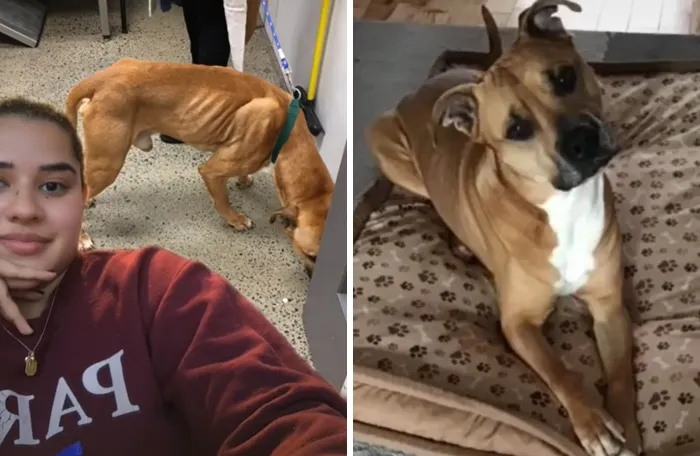Shelter vs. Now