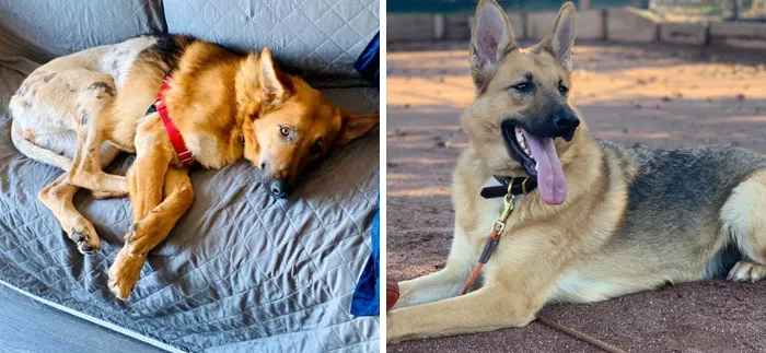 Happy Girl Gingko With Us For 9 Months!