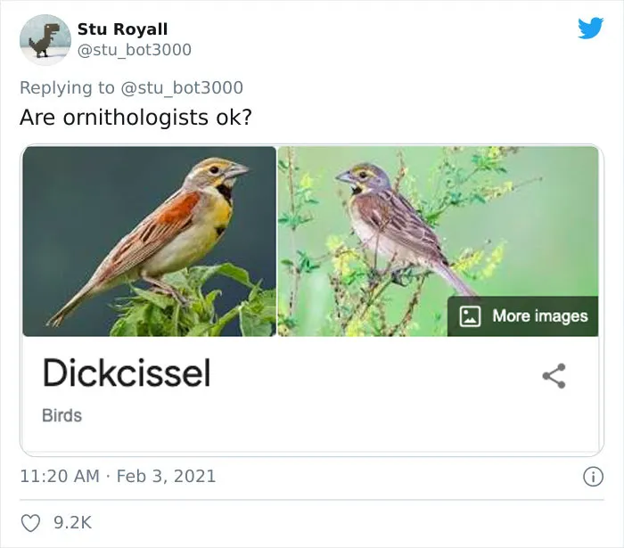 Dickcissel