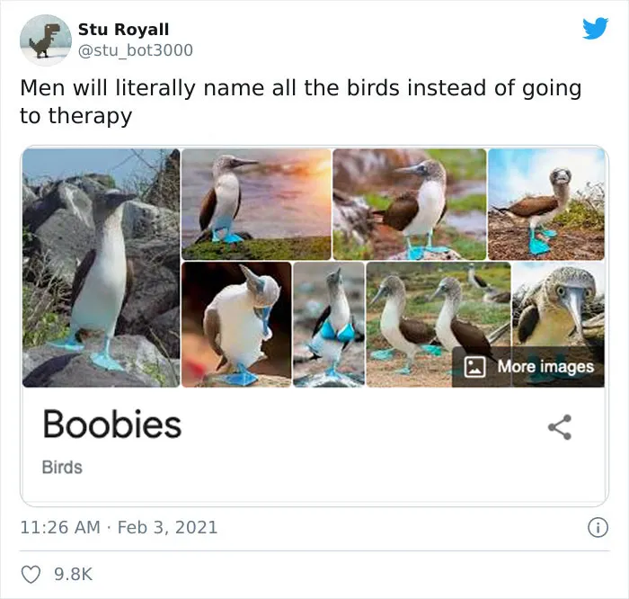 Boobies