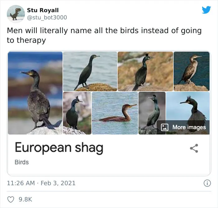 European Shag