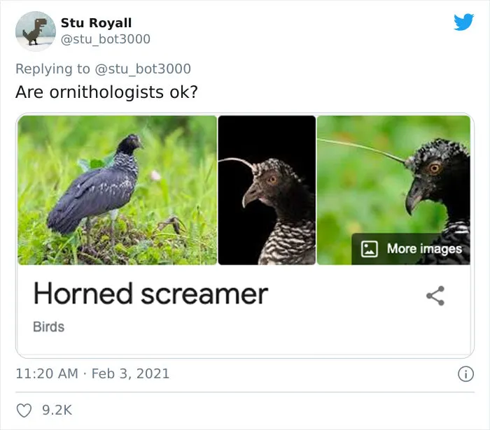 Horned Screamer