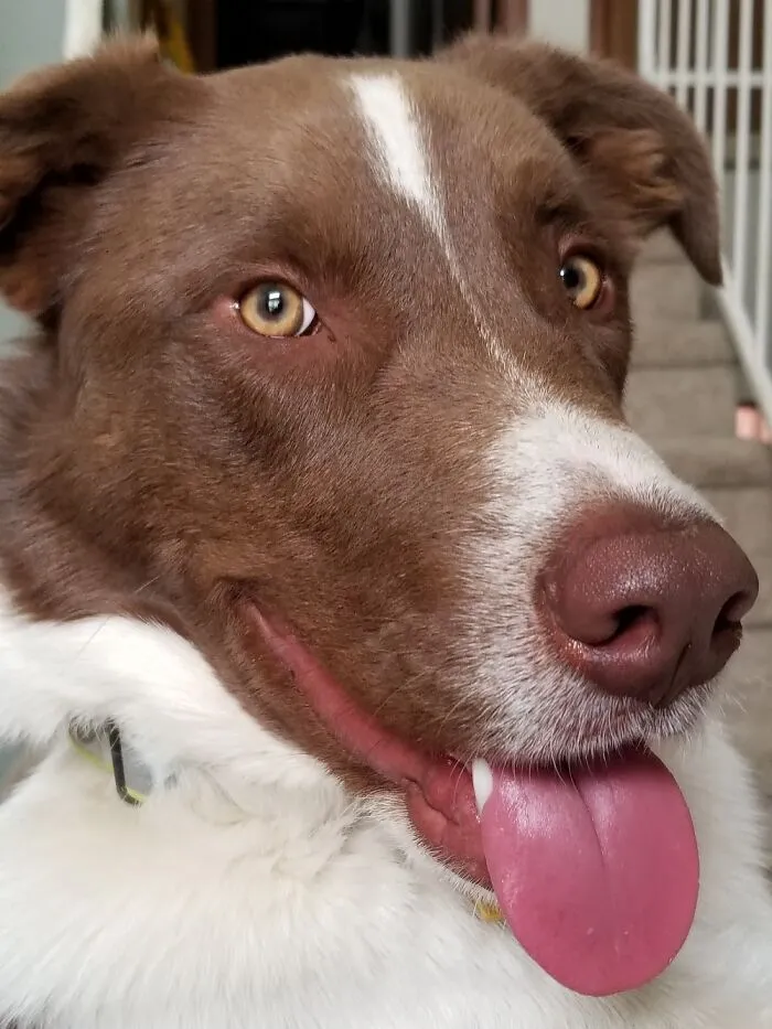 Chester