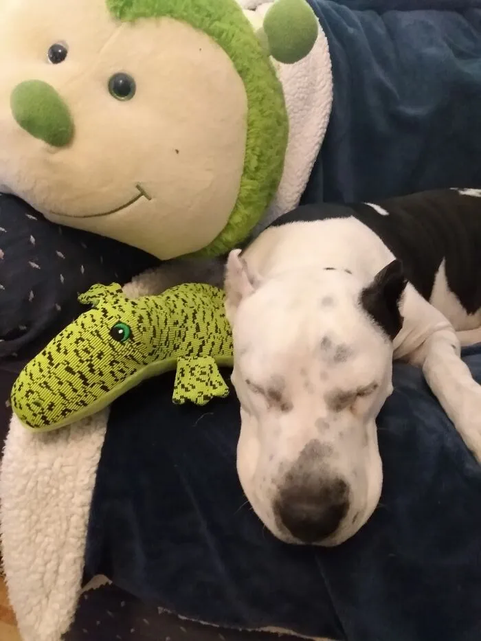 Cuddle Mode Engaged
