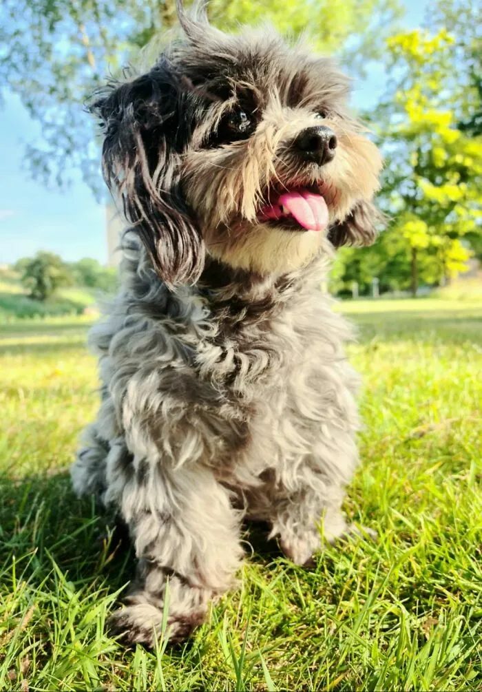 ♡♡♡