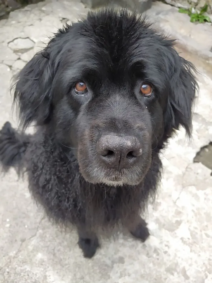Nancy. Loves All Water Except Those That Are There For Bathing...