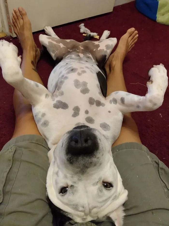 Massage Time!