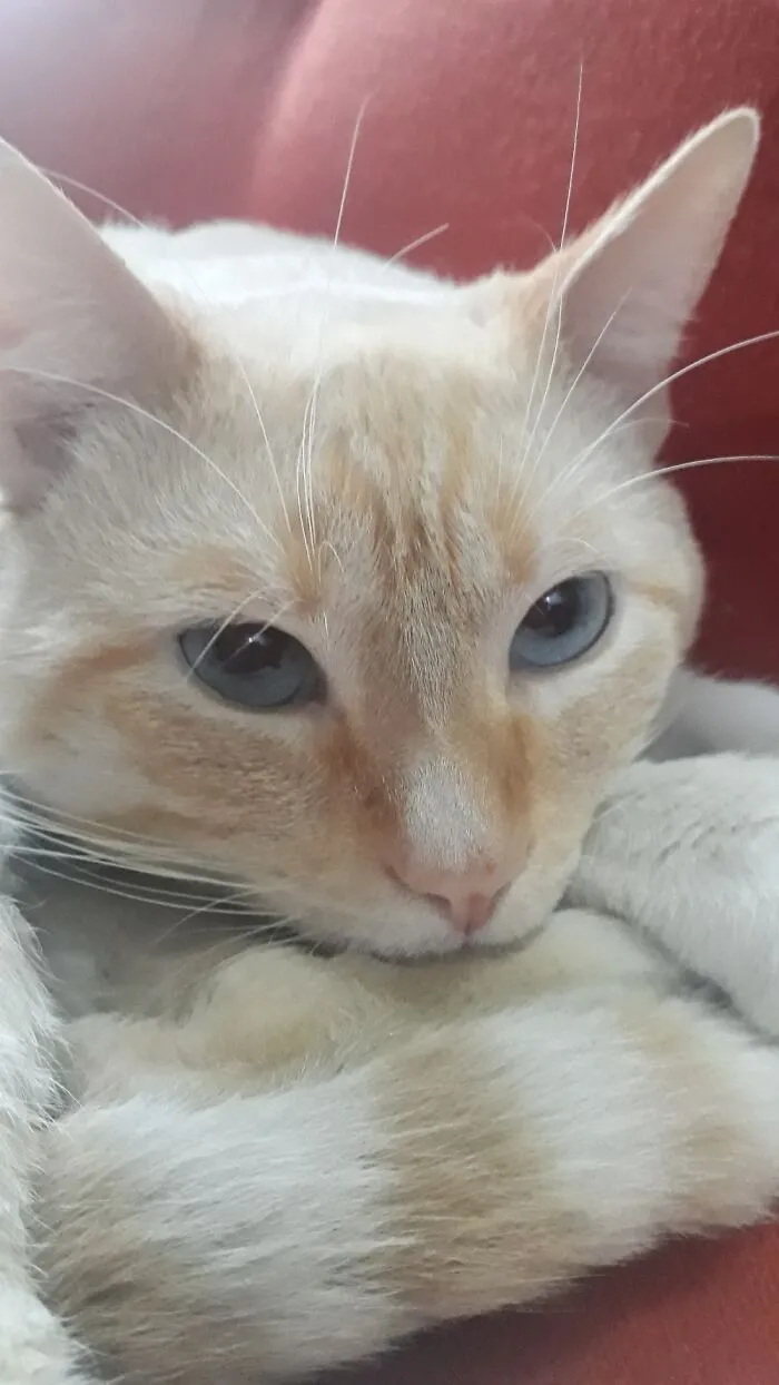 Patrick Blue Eyes ❤️