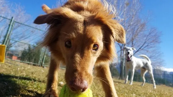 Play Time!