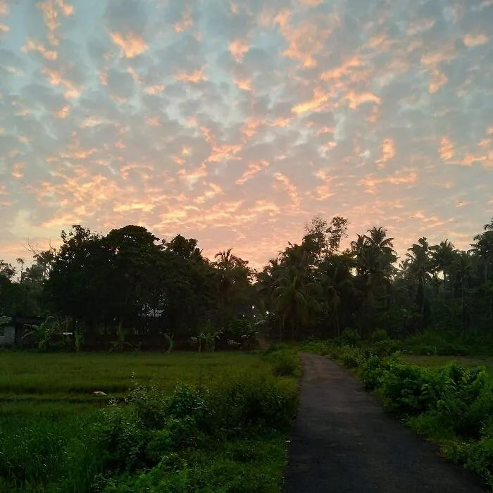 Sunrise
