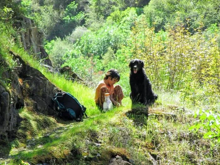 Dog And Child Waiting On Me