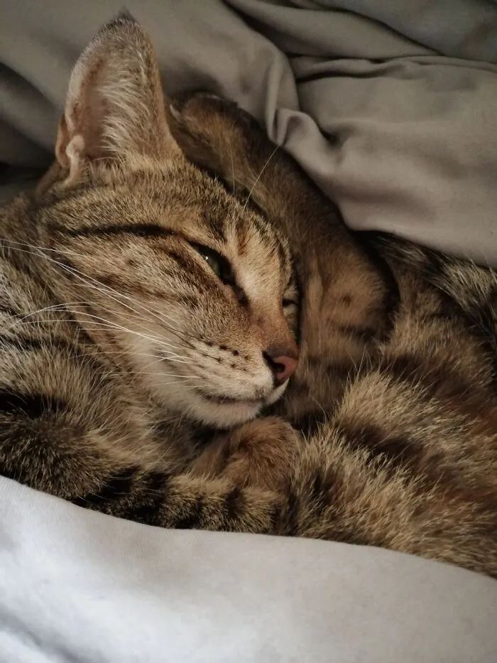 My Best Girl