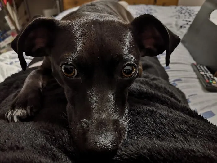 My Girl, Jessie