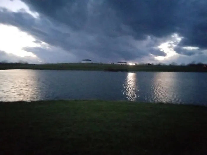 A Pond
