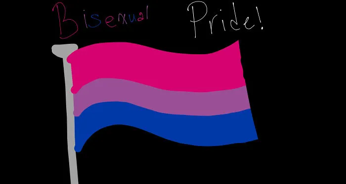 Bi Flag!