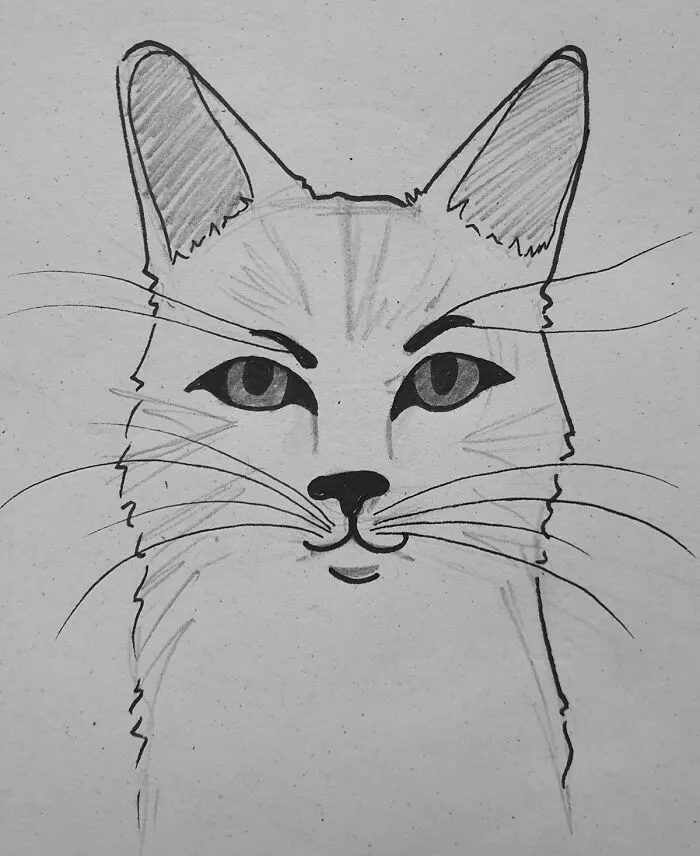 Not Really Good At Realism