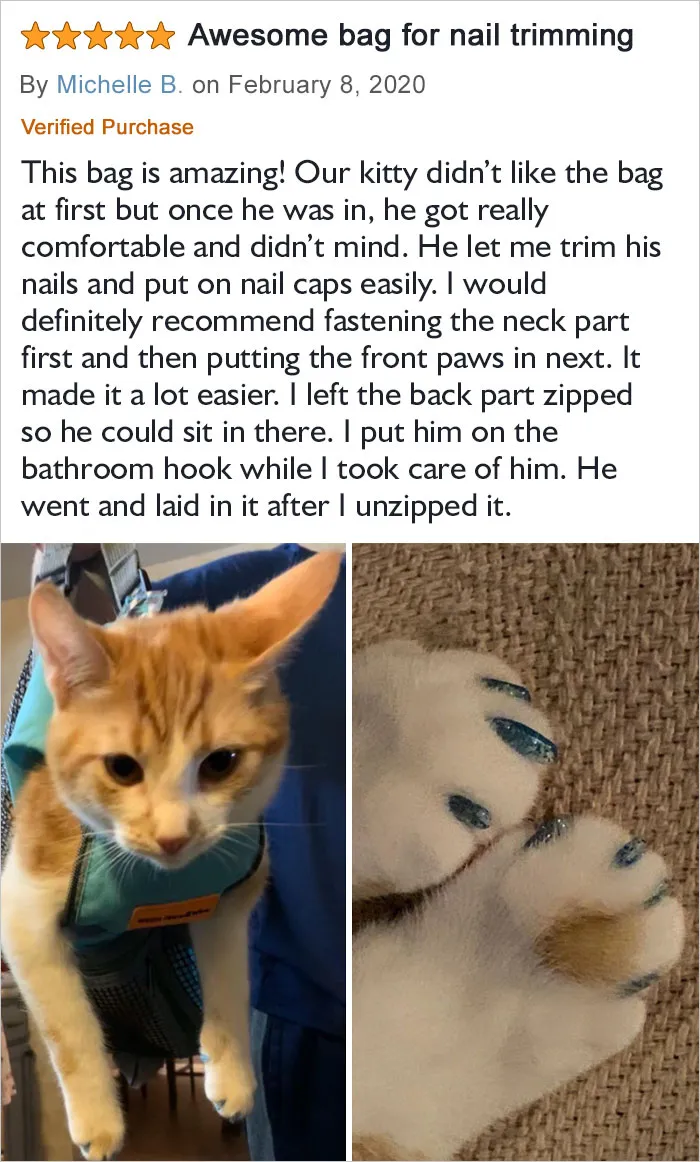 I Put Him On The Bathroom Hook While I Took Care Of Him