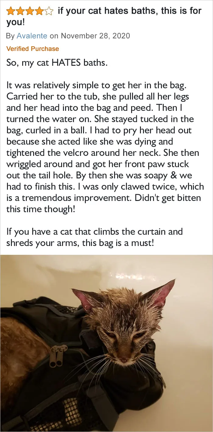 I Was Only Clawed Twice, Which Is A Tremendous Improvement