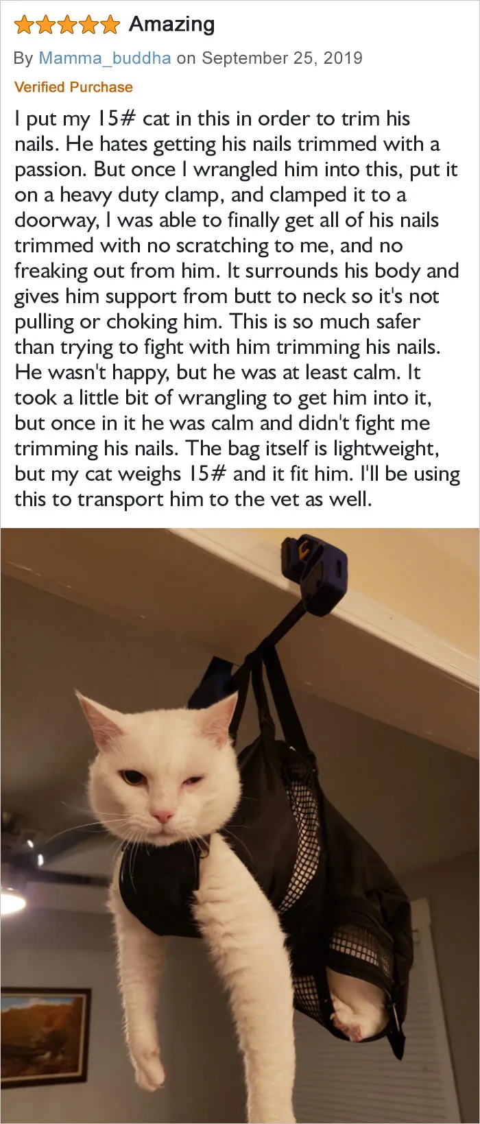 He Hates Getting His Nails Trimmed With A Passion