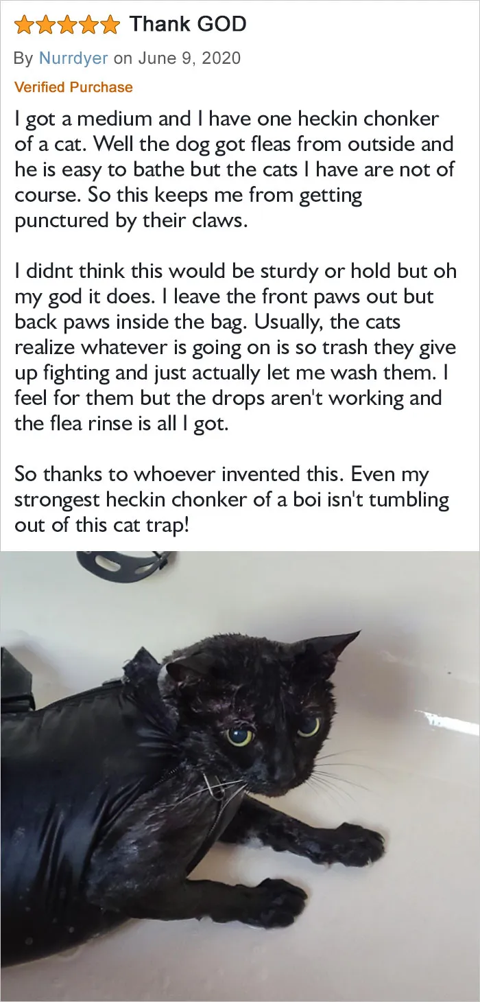 So Thanks To Whoever Invented This. Even My Strongest Heckin Chonker Of A Boi Isn't Tumbling Out Of This Cat Trap!
