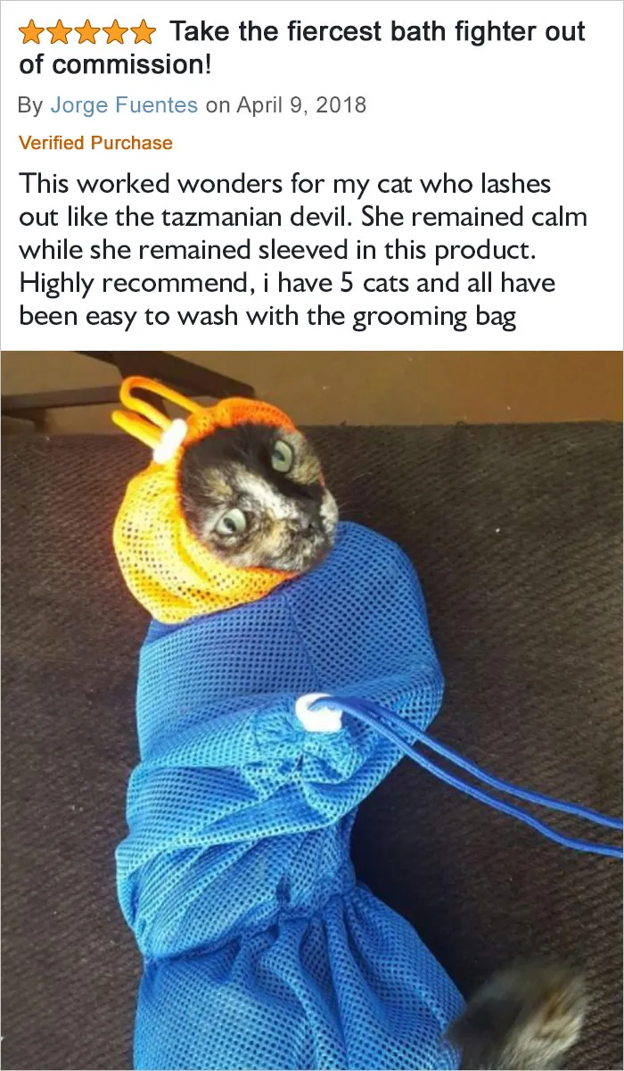 This Worked Wonders For My Cat Who Lashes Out Like The Tazmanian Devil