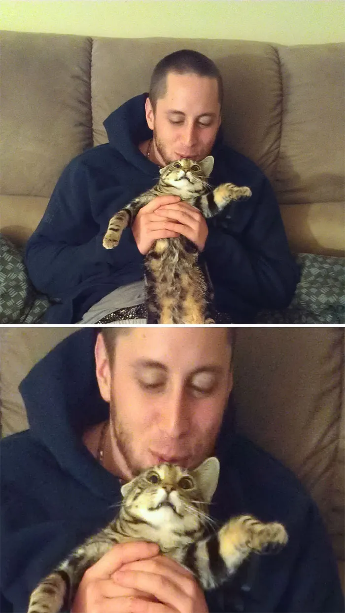 I Tried To Make My Boyfriend Take A Cat Beard Picture. This Was The Result