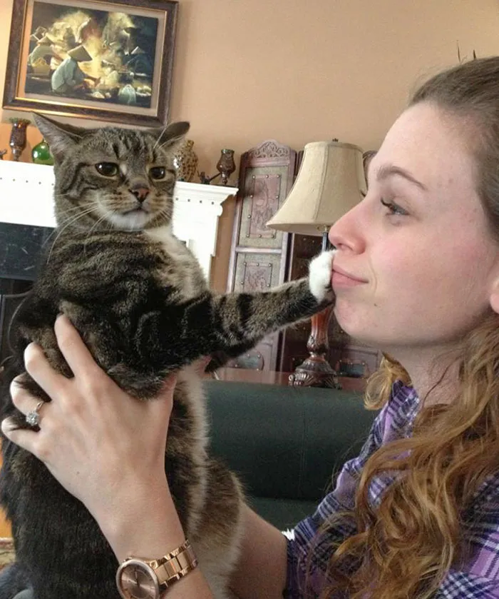 No Human, I Do Not Want Your Love