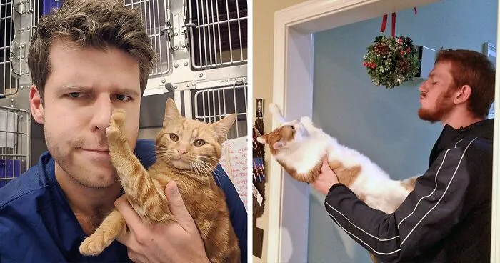 40 Hilarious Times Cats Said A Firm 'NO' To Cuddles