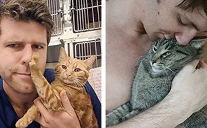 40 Hilarious Times Cats Said A Firm 'NO' To Cuddles