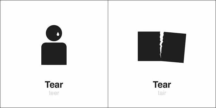 35 Clever Illustrations Of 'Same' Words That Are Actually Different, By Bruce Worden (New Pics)