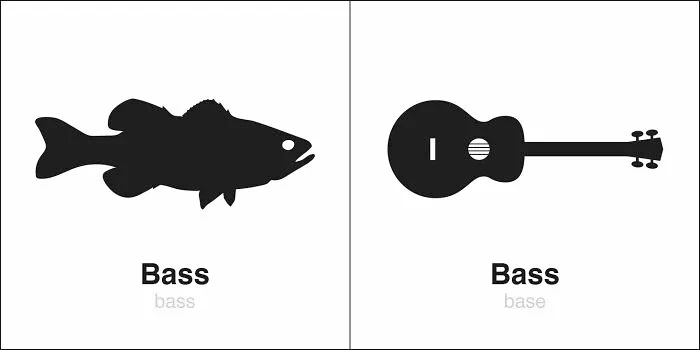 35 Clever Illustrations Of 'Same' Words That Are Actually Different, By Bruce Worden (New Pics)