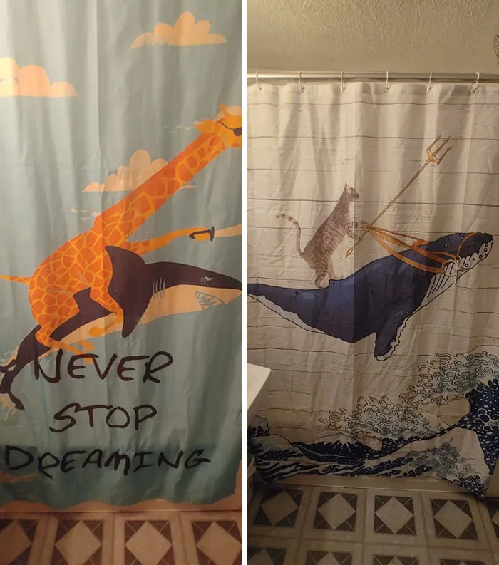 I've Had The Same Giraffe Shower Curtain Since I Moved In A Few Years Ago. At 26, I Thought It Was Time To Get A More Serious Curtain