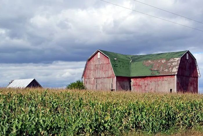 Someone Asks People Who Live In A Rural Area “What Will 'City Folk' Never Understand?” And Here Are 30 Of The Best Responses