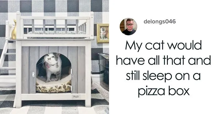 The Most Spoiled Cat You'll Ever Meet Has Her Own Stylish Room