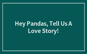 Hey Pandas, Tell Us A Love Story! (Closed)