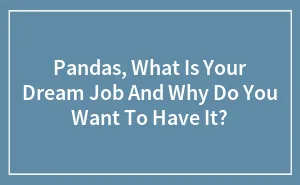 Pandas, What Is Your Dream Job And Why Do You Want To Have It? (Closed)