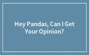 Hey Pandas, Can I Get Your Opinion?